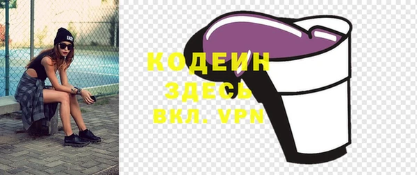 молекула духа Богородицк