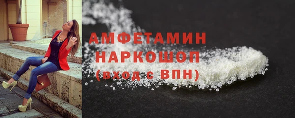 молекула духа Богородицк
