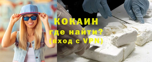 молекула духа Богородицк