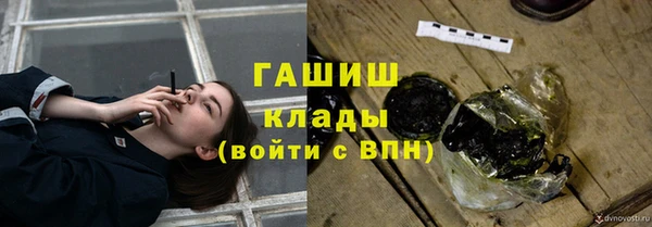 молекула духа Богородицк