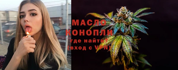 молекула духа Богородицк