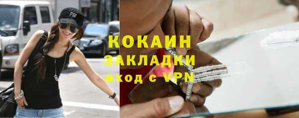 молекула духа Богородицк