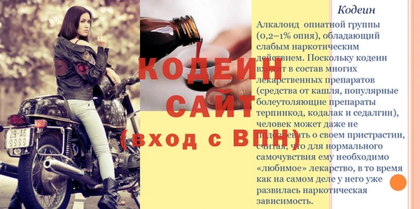 молекула духа Богородицк