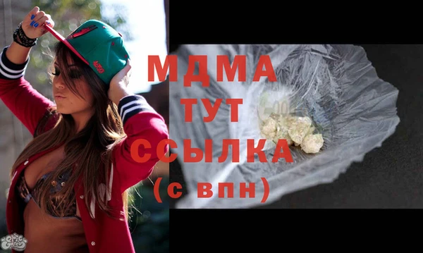 молекула духа Богородицк