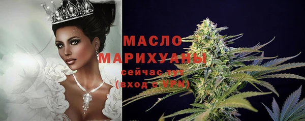 молекула духа Богородицк
