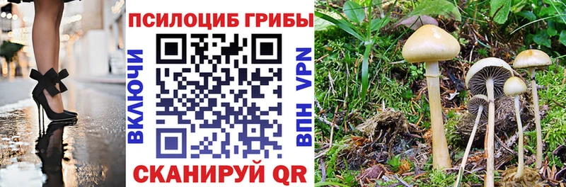 Галлюциногенные грибы Psilocybine cubensis Короча
