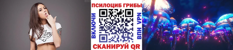 Псилоцибиновые грибы мухоморы  закладка  Короча 
